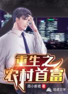 重生之农村首富