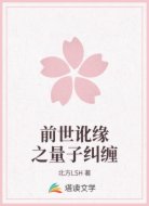 前世讹缘之量子纠缠