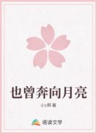 也曾奔向月亮