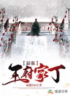 最強王府家丁