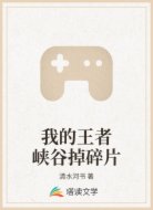 我的王者峡谷掉碎片