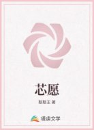 芯愿