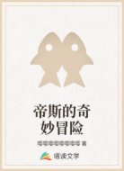 帝斯的奇妙冒险