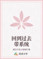 回到过去带系统