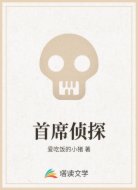 首席侦探