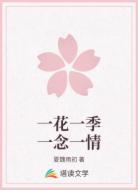 一花一季一念一情