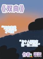 双向