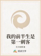 我的前半生是第一刺客