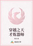 穿越之天才炼器师