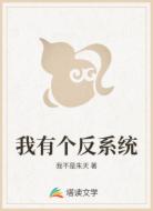 我有个反系统