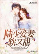 宠妻成瘾:陆少爱妻软又甜