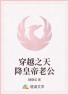 穿越之天降皇帝老公