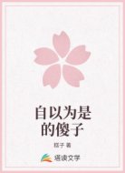 自以为是的傻子