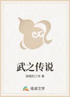 武之传说