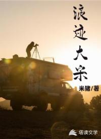 浪迹大宋