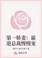 第一娇妻:霸道总裁慢慢宠