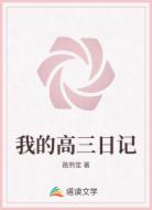 我的高三日记