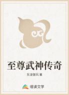 至尊武神传奇