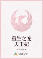 重生之宠夫王妃