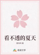 看不透的夏天