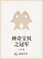 神奇宝贝之冠军
