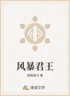 风暴君王