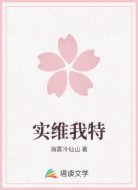 实维我特