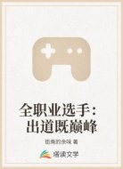 全职业选手:出道既巅峰