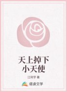 天上掉下小天使