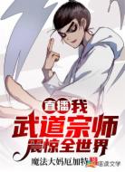 直播:我武道宗师震惊全世界!