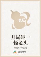 开局碰一怪老头