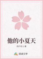 他的小夏天