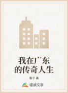 我在广东的传奇人生