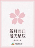戴月而归漫天星辰
