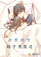 七夜婚宠陆少求放过