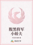 腹黑将军小娇夫