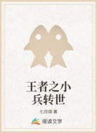 王者之小兵转世