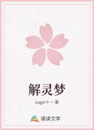 解灵梦