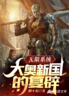 无限系统:大奥新国的复辟
