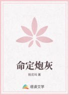 命定炮灰
