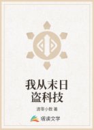 我从末日盗科技