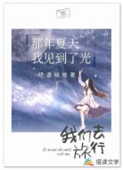 那年夏天我见到了光