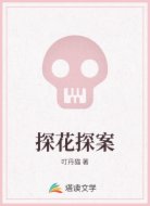 探花探案
