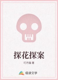 探花探案