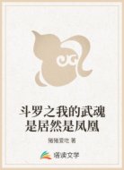 斗罗之我的武魂是居然是凤凰