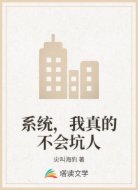 系统,我真的不会坑人