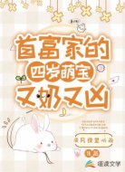 首富家的四岁萌宝又奶又凶