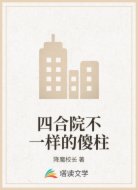 四合院不一样的傻柱