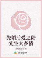 先婚后爱之陆先生太多情