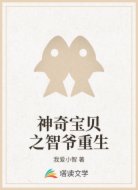 神奇宝贝之智爷重生